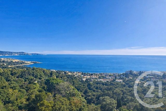 appartement - NICE - 06