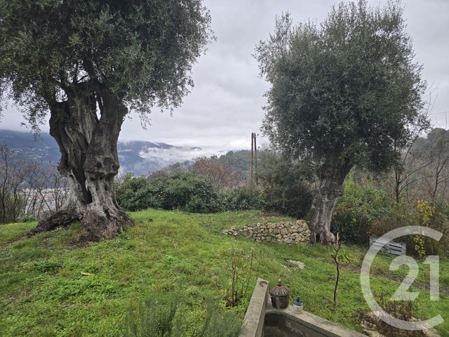 maison à vendre - 4 pièces - 80.0 m2 - CASTAGNIERS - 06 - PROVENCE-ALPES-COTE-D-AZUR - Century 21 Cbs Immobilier