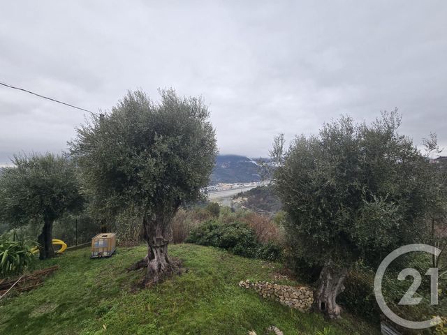 maison à vendre - 4 pièces - 80.0 m2 - CASTAGNIERS - 06 - PROVENCE-ALPES-COTE-D-AZUR - Century 21 Cbs Immobilier